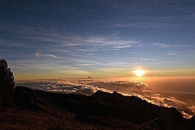 《Tattoo Tycoon》Steam页面上线 暂不支持中文